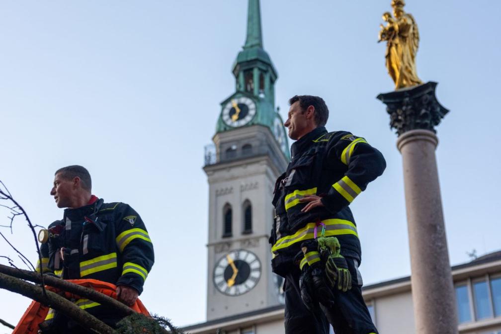 Ein Team der Münchner Berufsfeuerwehr sorgte dafür, dass der Baum aufgerichtet und mit dem Kran in das zwei Meter tiefe Bodenloch vor dem Neuen Rathaus versenkt und verkeilt wurde.