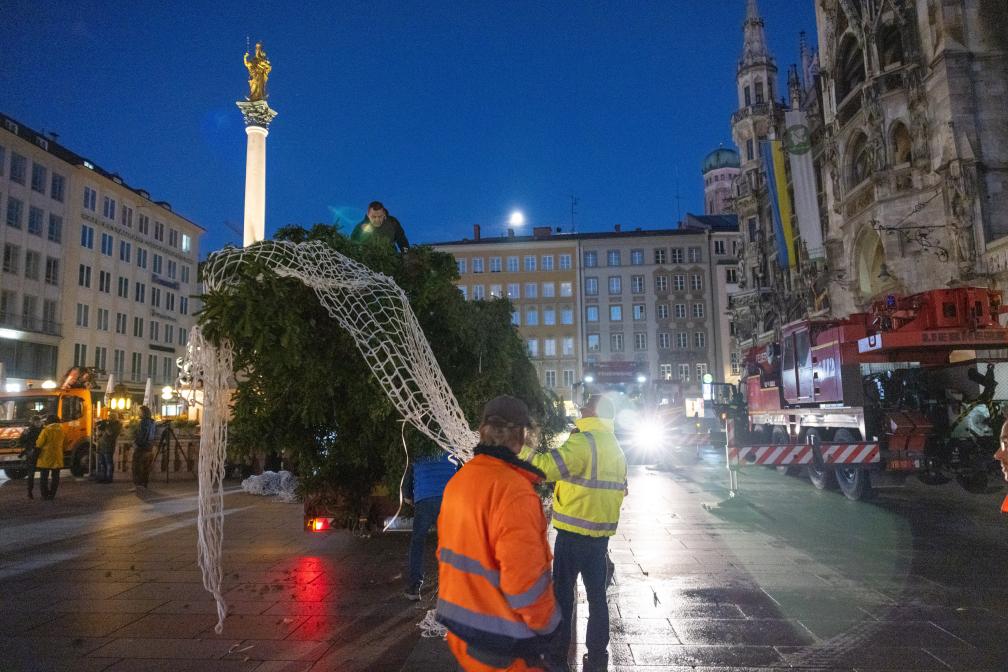 Der Christbaum wird abgeladen