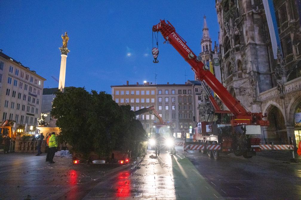 Damit der Baum aufgerichtet werden konnte, musste er zunächst von einem Kran der Münchner Berufsfeuerwehr angehoben werden. 