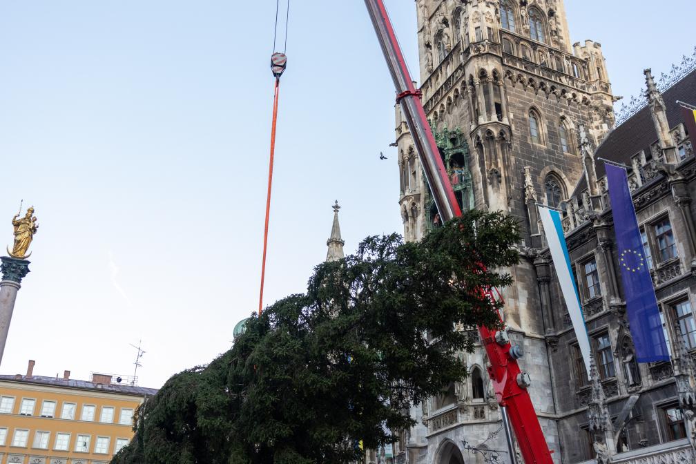 Der Christbaum wird angehoben