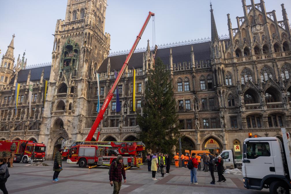 Der Christbaum steht.