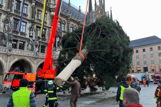 Der Christbaum wurde von der Feuerwehr in die Senkrechte gebracht. 