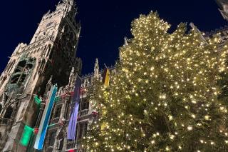 Der Rathaus-Christbaum wird seit 1977 von Gemeinden oder Tourismus-Regionen gestiftet und ist längst zum Wahrzeichen des Münchner Christkindlmarkts geworden. Der Rathaus-Christbaum wird seit 1977 von Gemeinden oder Tourismus-Regionen gestiftet und ist längst zum Wahrzeichen des Münchner Christkindlmarkts geworden.