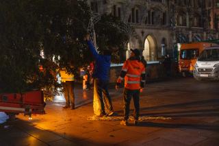 Ankuft des Baumes aus Ellmau