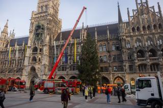 Der Christbaum steht.