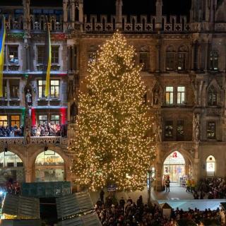 Christbaum am Marienplatz