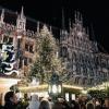 Blick zum Christbaum auf dem Marienplatz
